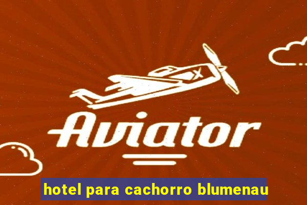 hotel para cachorro blumenau